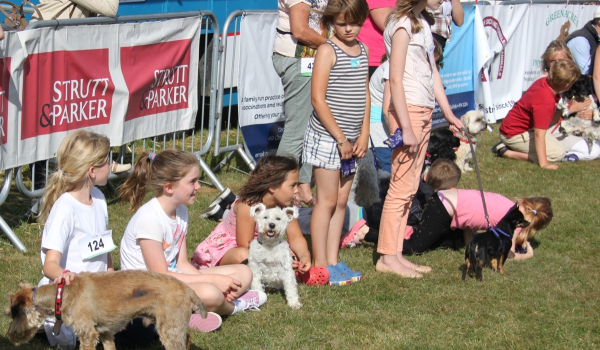 Suffolk Dog Day 2013 812